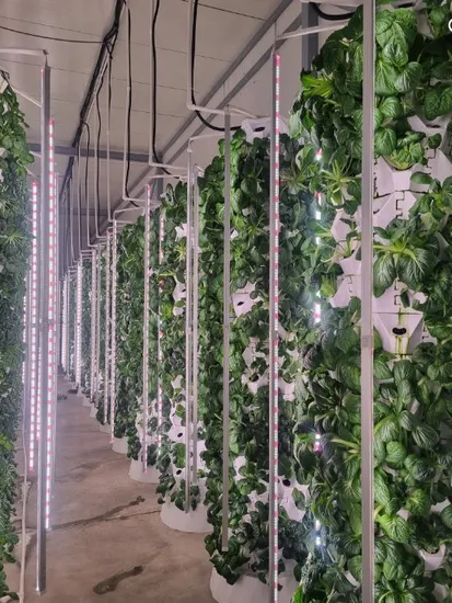 indoor vertical gardening