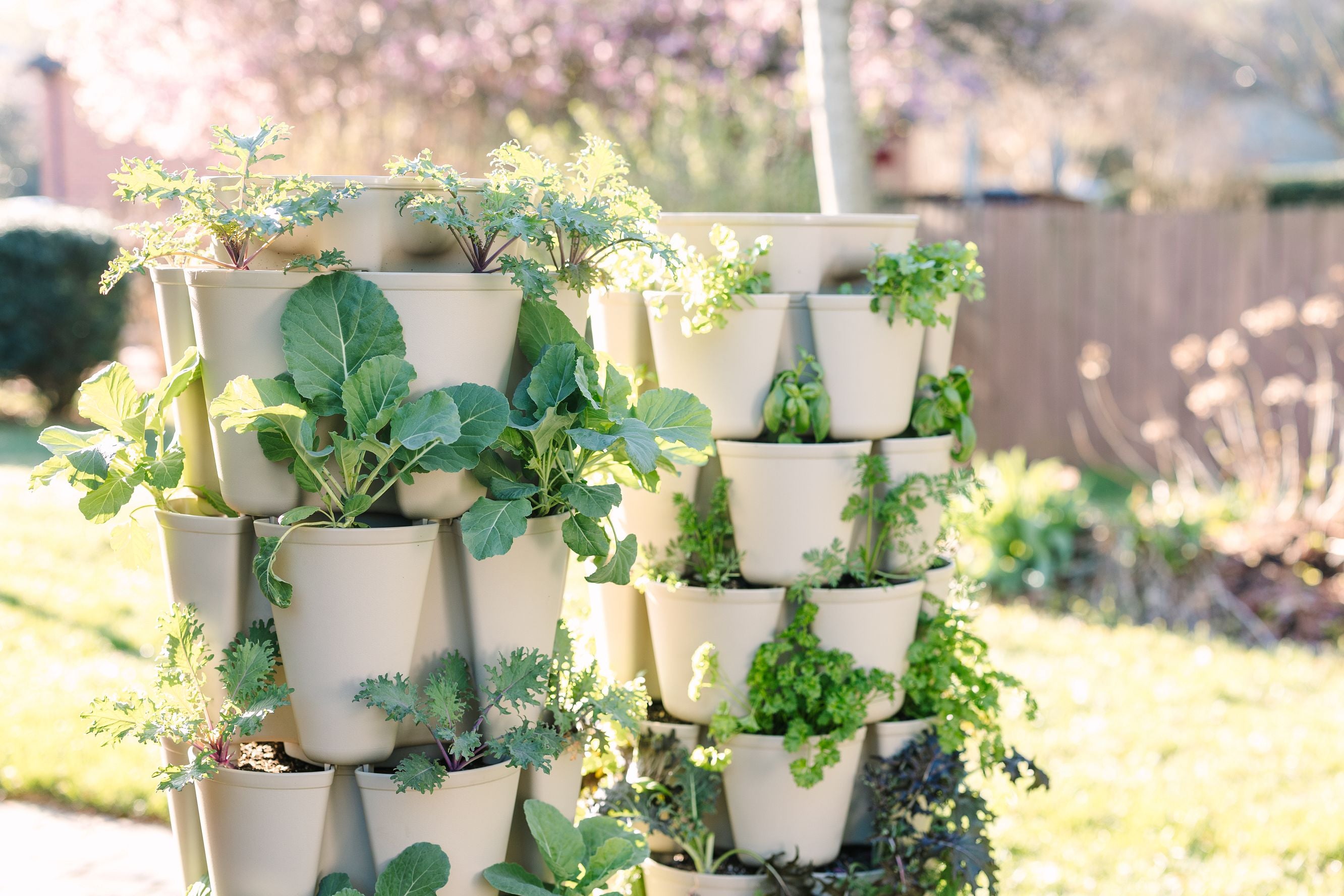2026 Vertical Gardening guide: How to Grow Strawberries, Cucumbers, and Zucchini Indoors