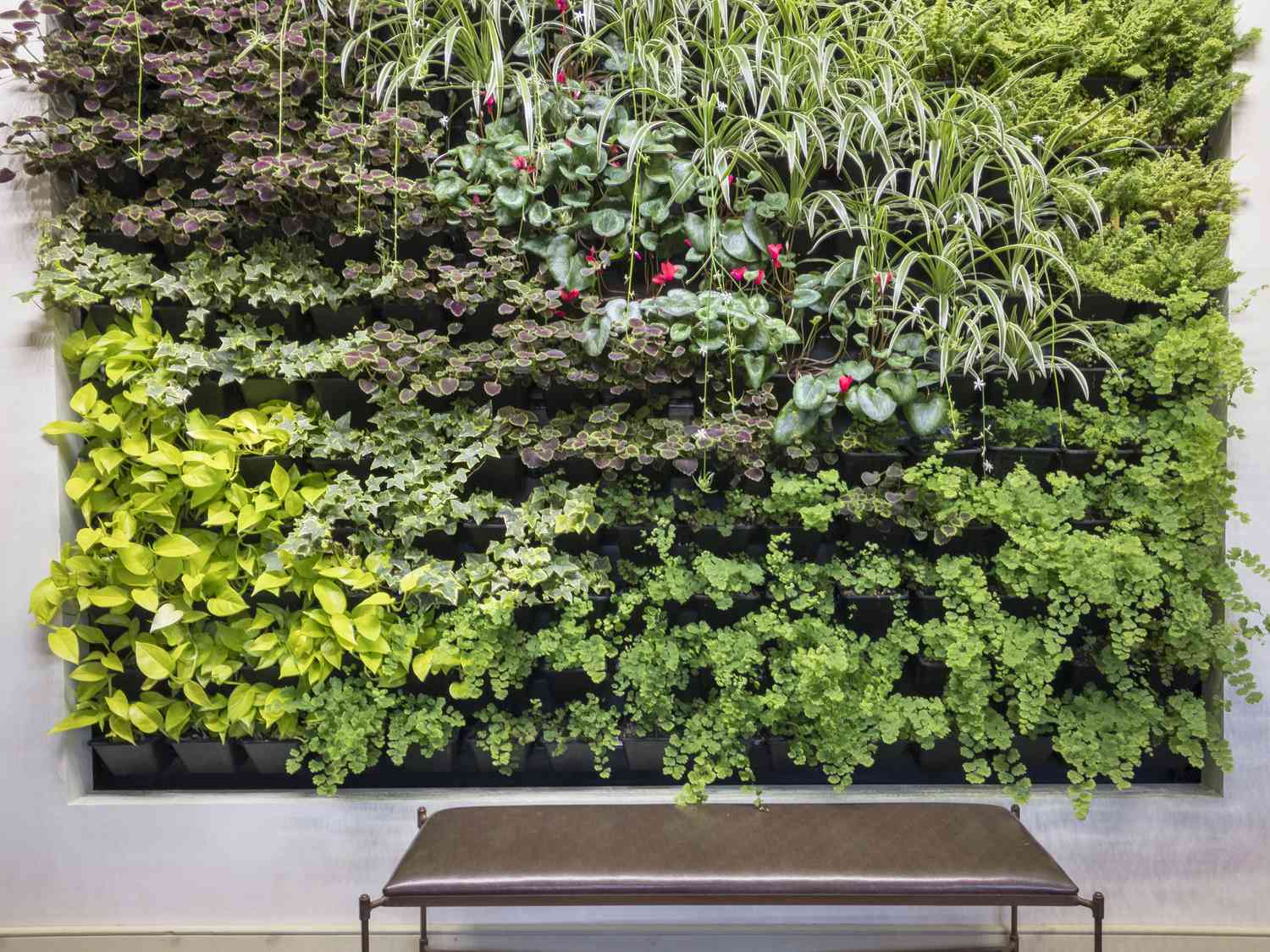 Grow Strawberries, Cucumbers, and Zucchini in a Vertical Indoor Garden
