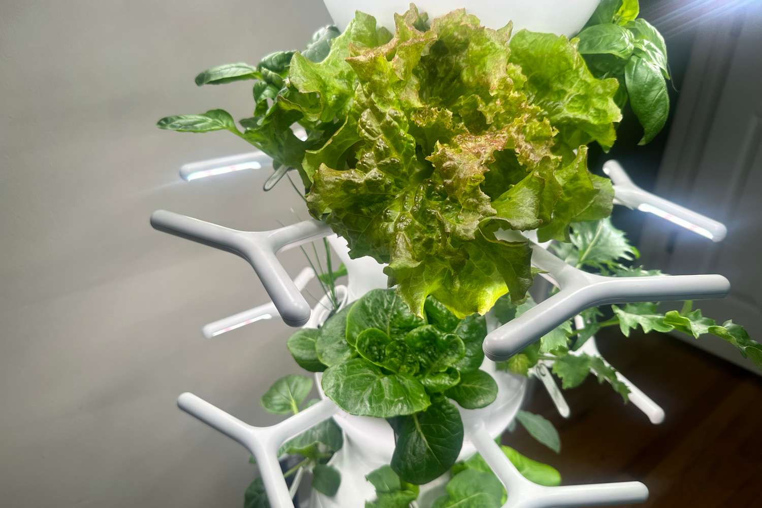 How to Grow Strawberries, Cucumbers, and Zucchini in a Compact Indoor Vertical Garden