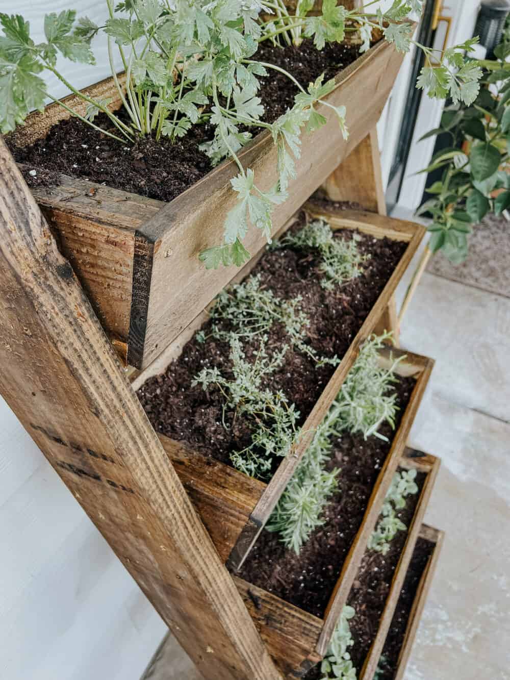 indoor vertical gardening
