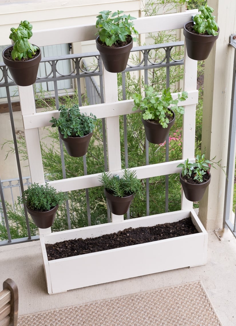 indoor vertical gardening