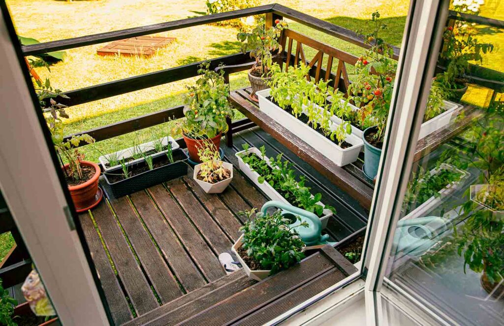 indoor vertical gardening