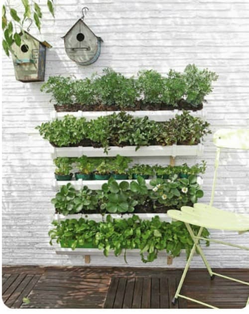 indoor vertical gardening