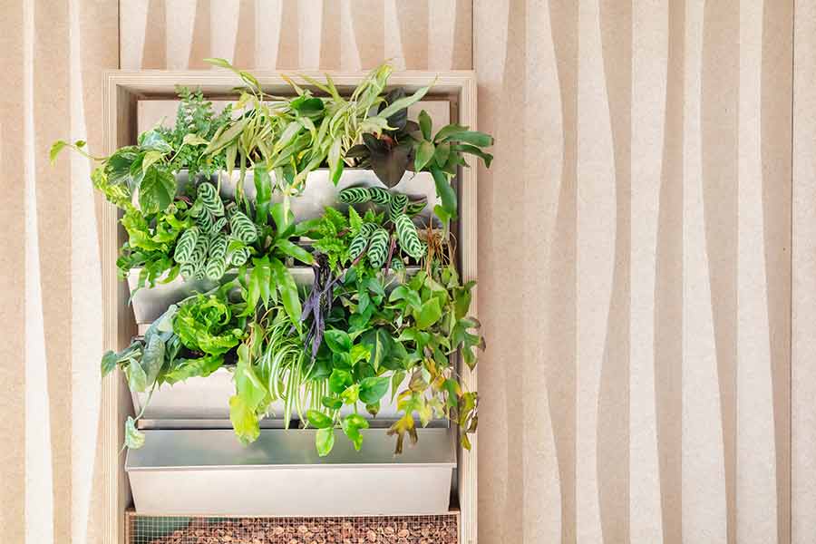 Indoor Vertical Gardening: How to Grow Strawberries, Cucumbers & Zucchini