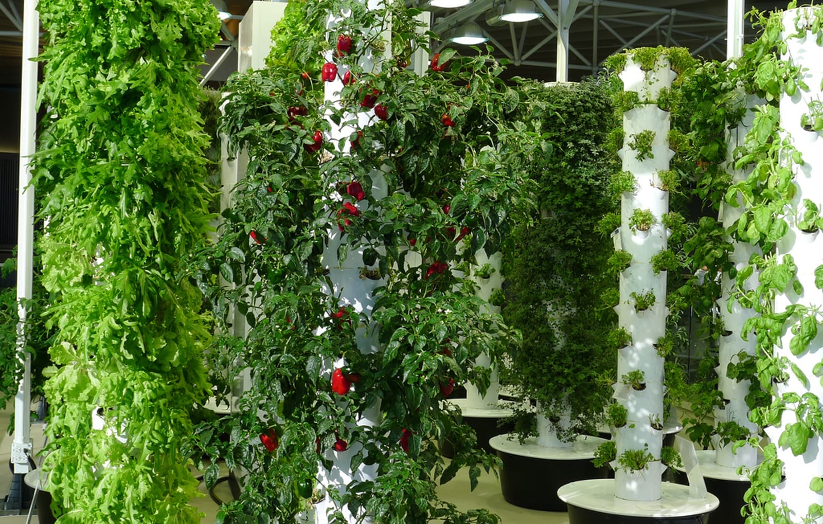 indoor vertical gardening