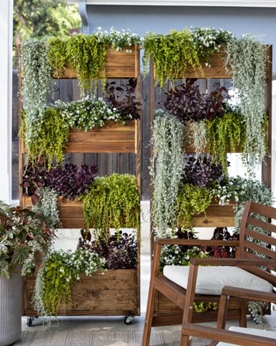 indoor vertical gardening