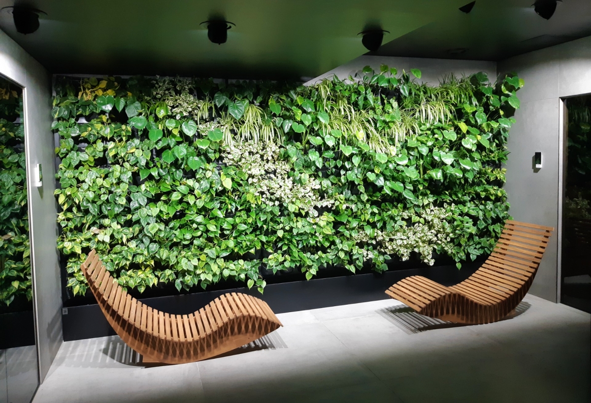 2026 guide to Indoor Vertical Gardening: Growing Strawberries, Cucumbers & Zucchini in Small Spaces