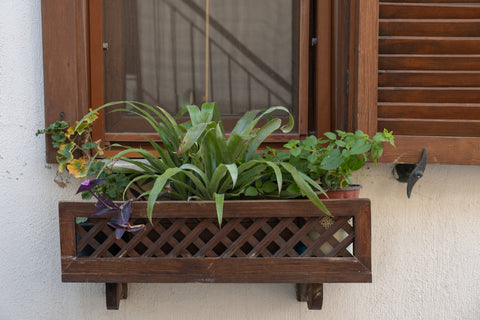 Best Indoor Vertical Gardens for Strawberries, Cucumbers, and Zucchini