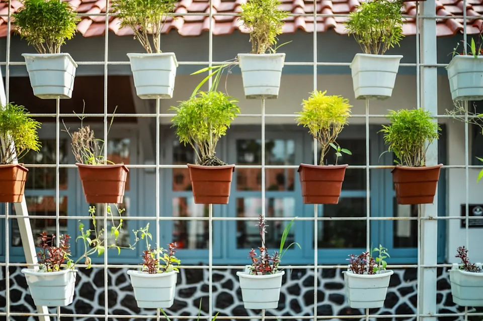 Best Indoor Vertical Gardens for Strawberries, Cucumbers, and Zucchini