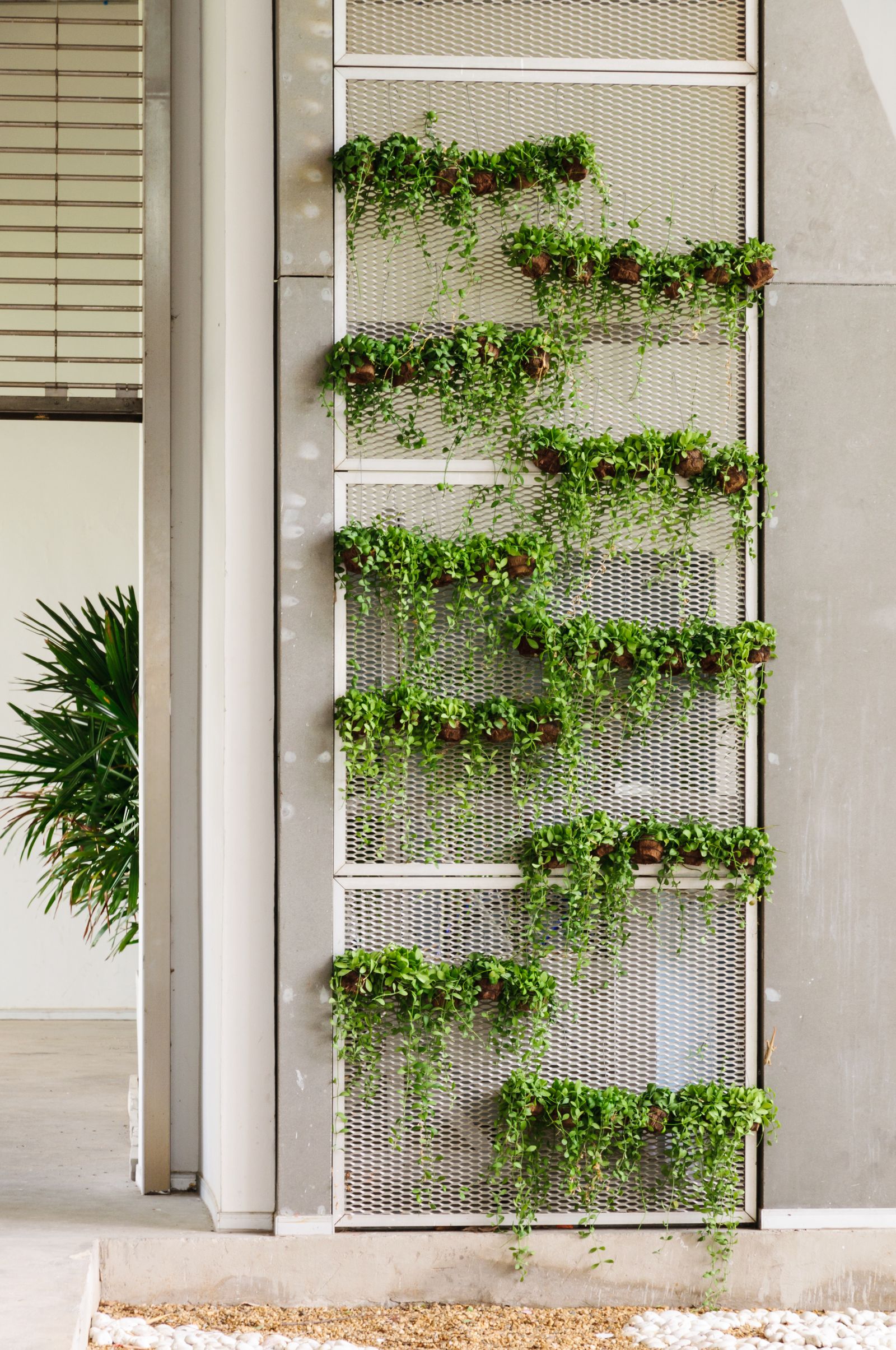indoor vertical gardening
