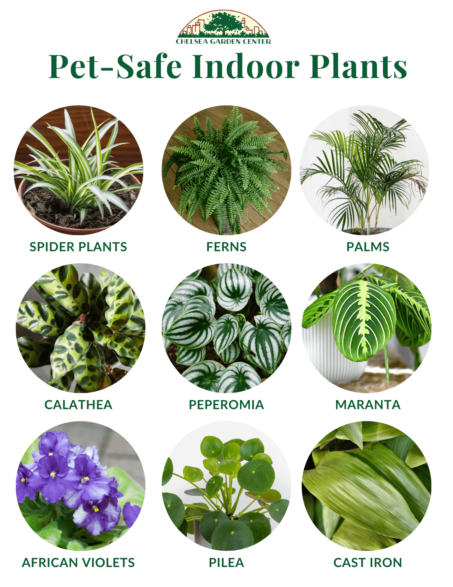 ’s Low Maintenance Indoor Vertical Gardening Tips