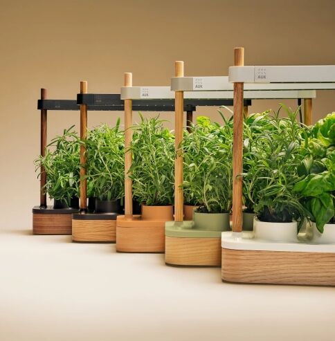 LED grow lights positioned over vertical garden
