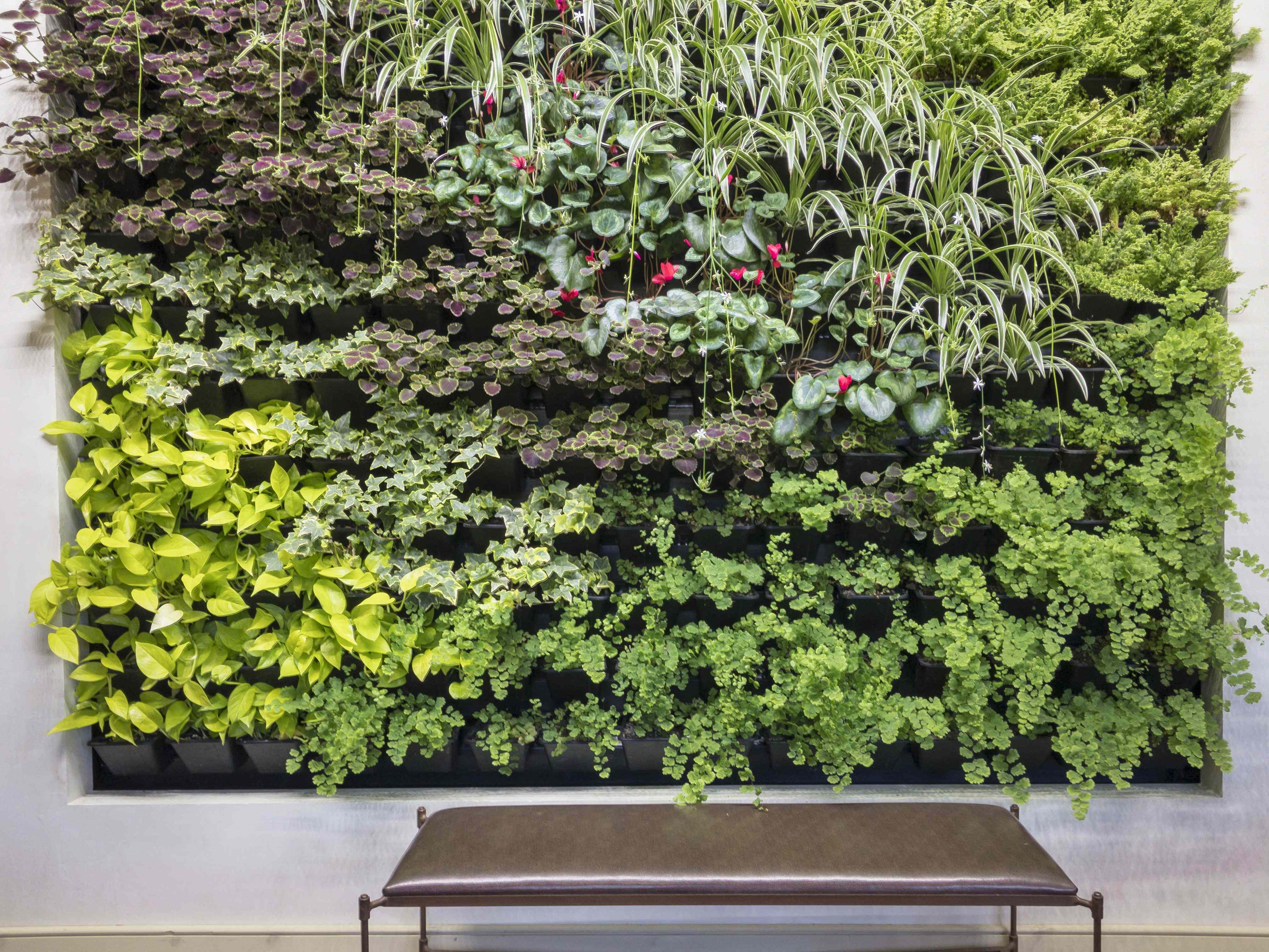 2026 guide to Indoor Vertical Gardening: Growing Strawberries, Cucumbers & Zucchini Year-Round