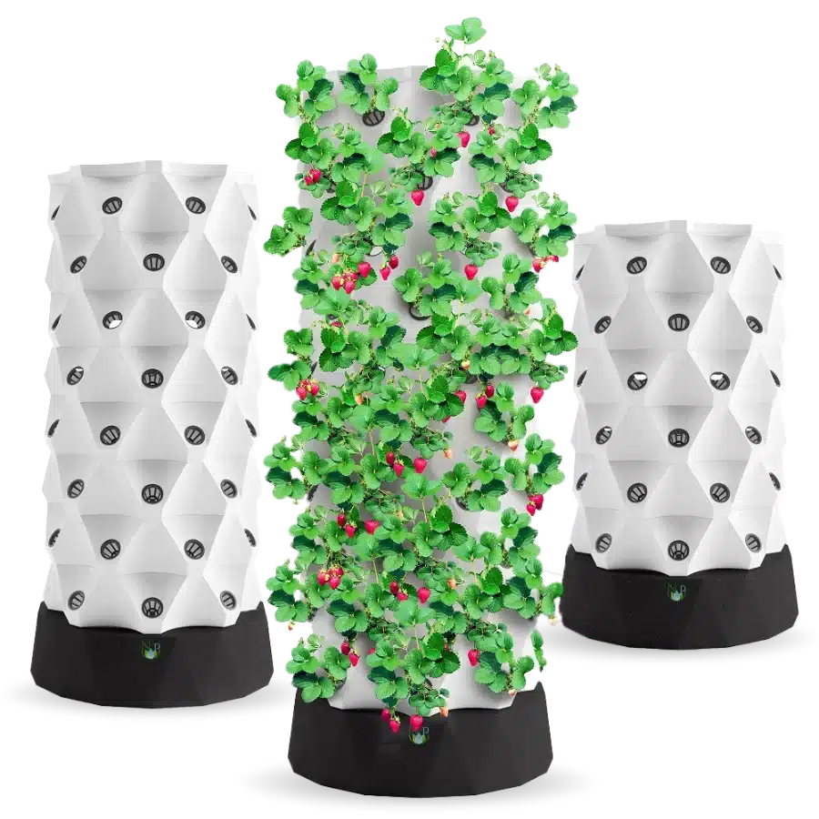 zucchini plant supported in vertical tower