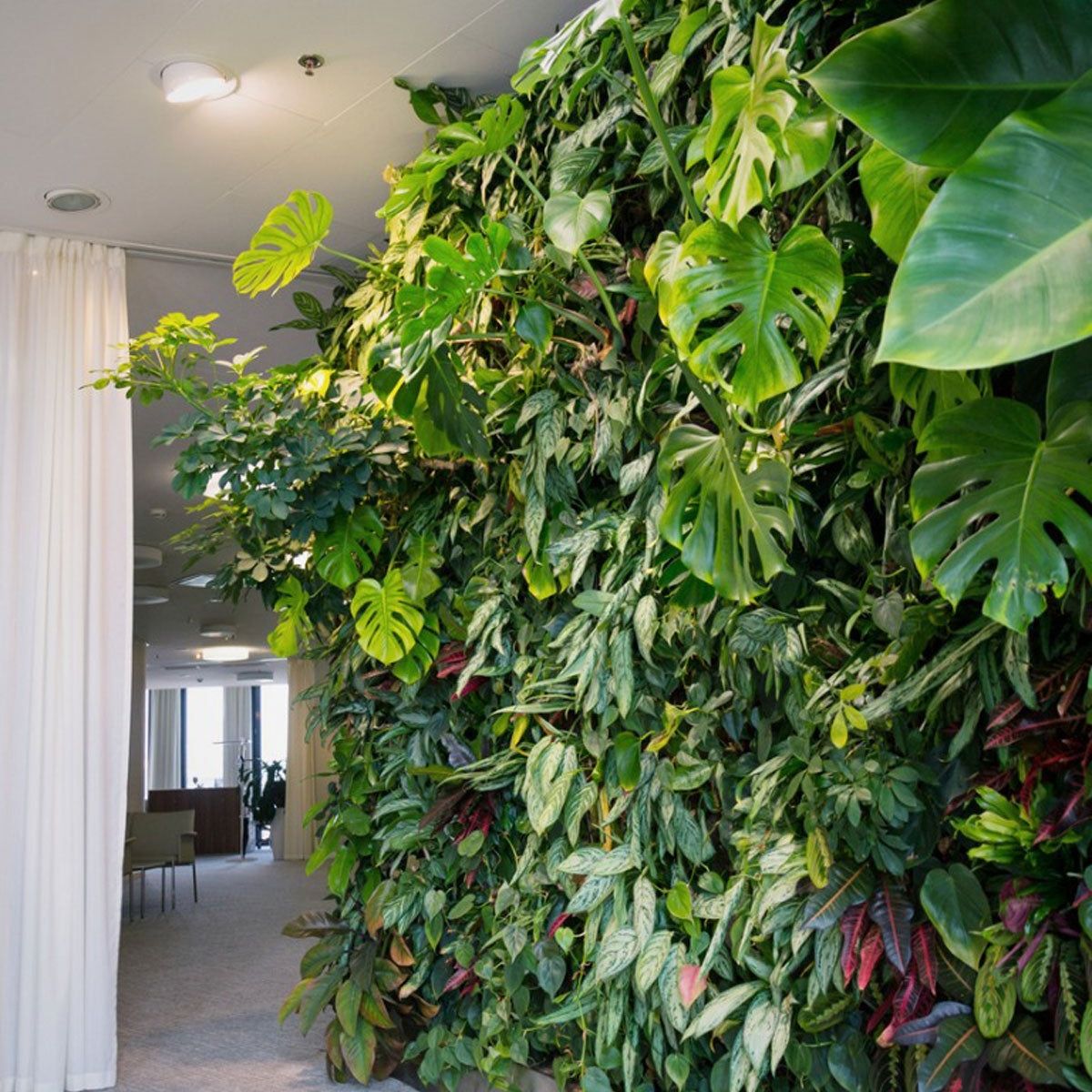 5 Zero-Maintenance Indoor Plants That Thrive in Vertical Gardens (2026 Edition)