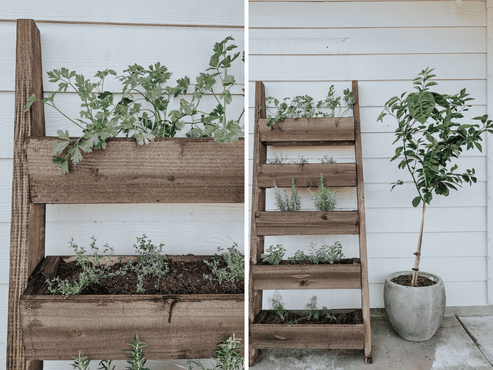 Our New Leaning Vertical Herb Garden – Love & Renovations