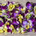 assorted edible flowers