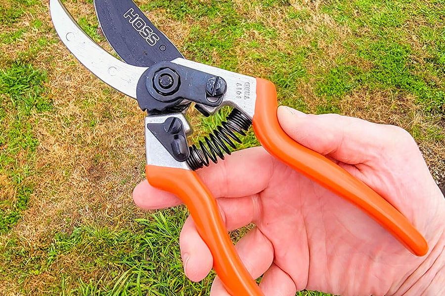 Pruning Shears