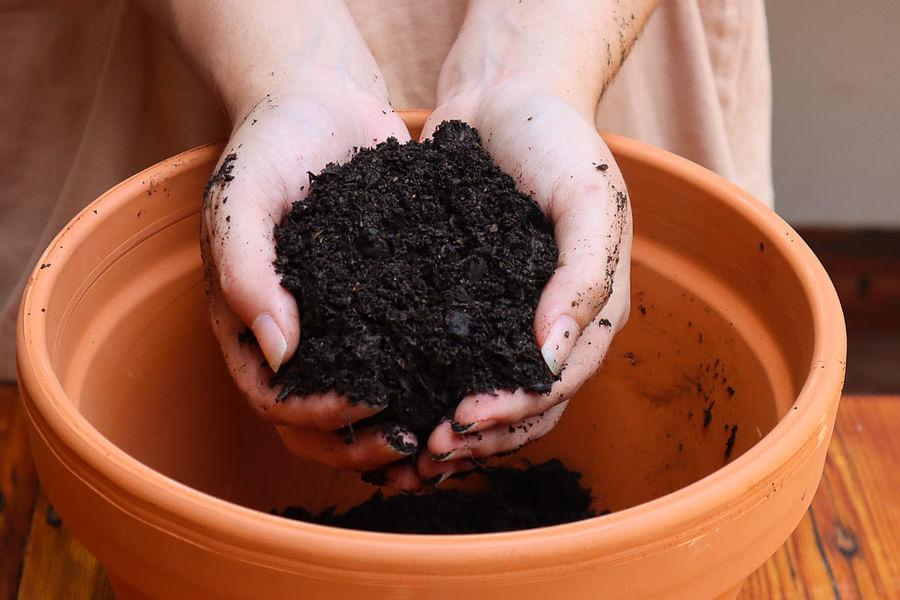 Quality Potting Soil