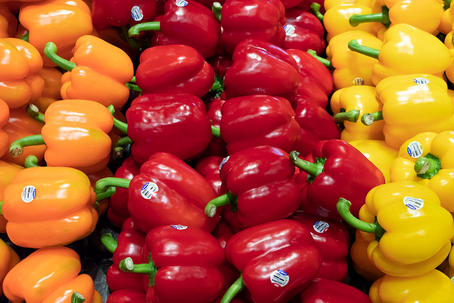 Orange Bell Peppers Growing