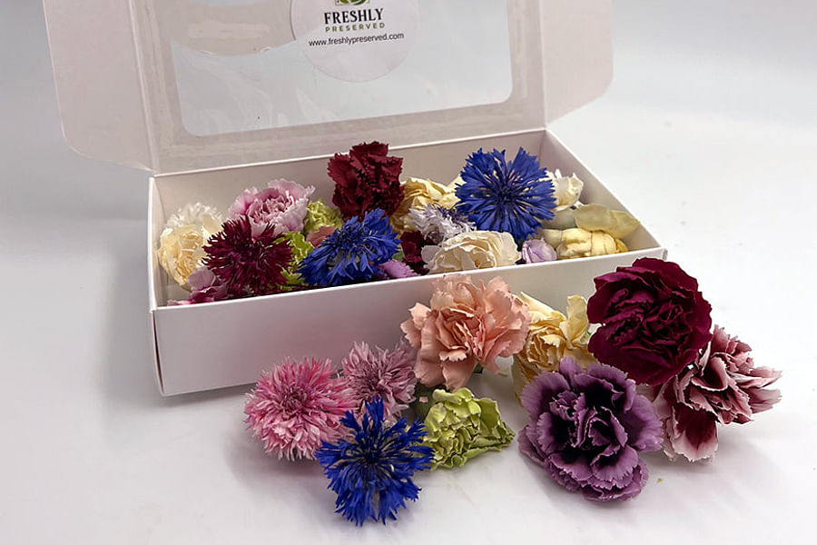 Bachelor's Buttons edible flowers