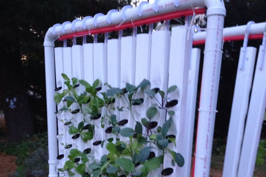 Automated Nutrient pH Dosers Vertical Garden