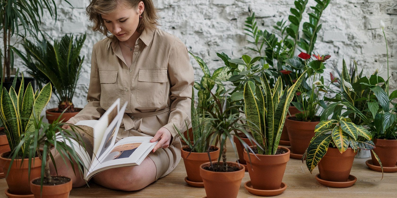 GreenIQ smart garden app