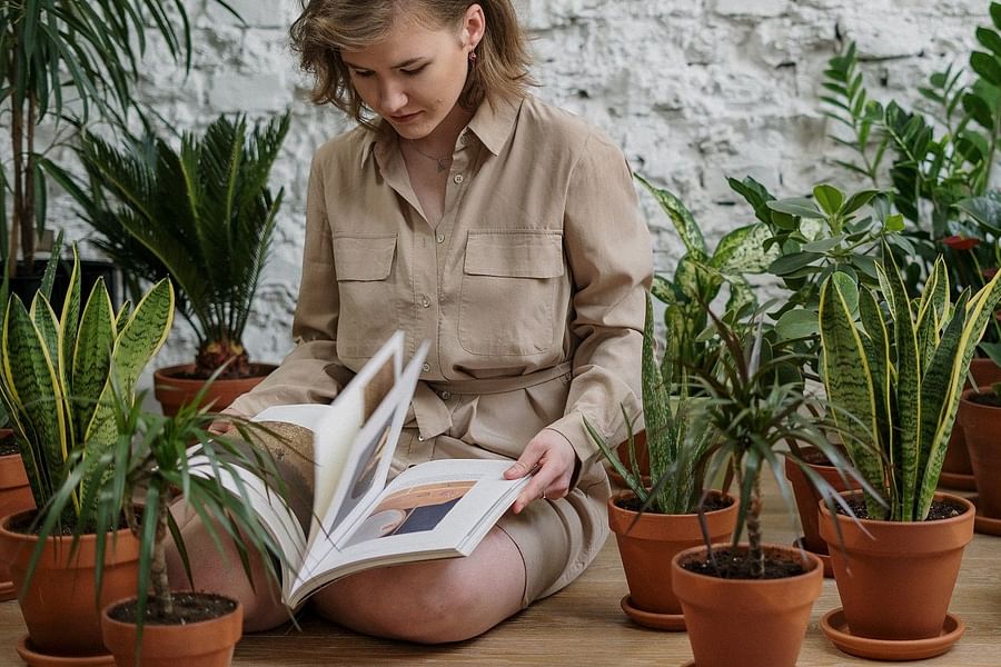 GreenIQ smart garden app