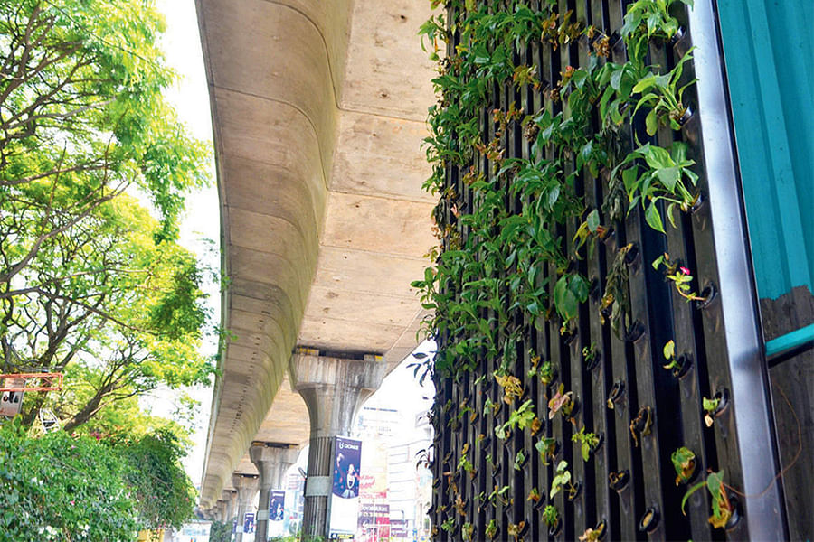concrete vertical garden structure
