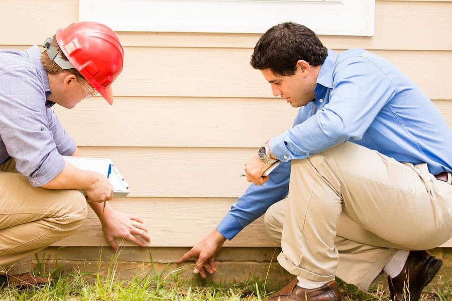 professional vertical garden inspection