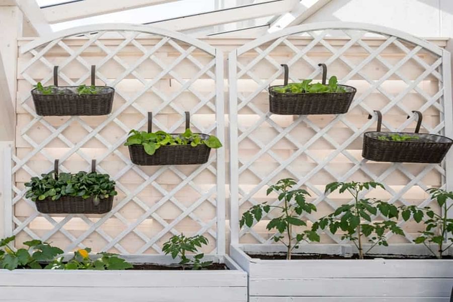 vertical garden drainage solutions