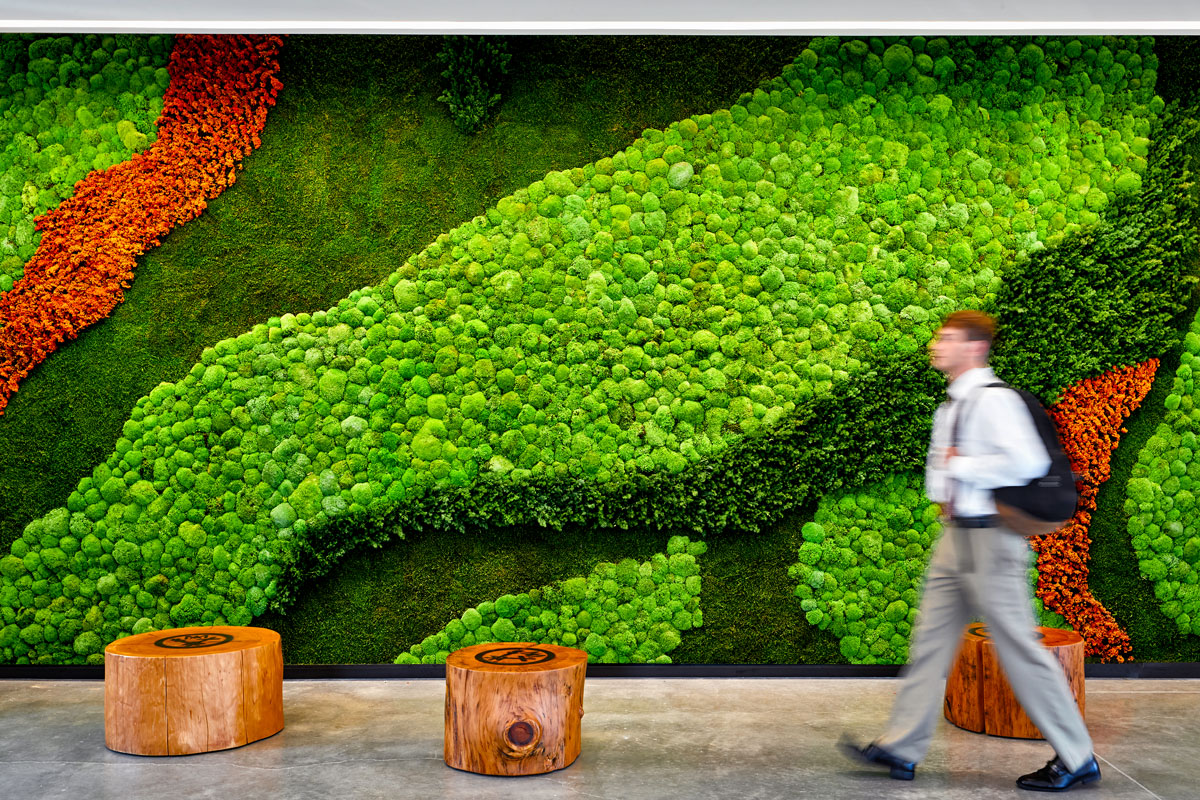 vertical garden material maintenance