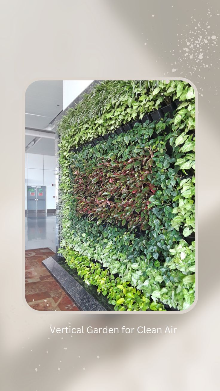 vertical garden plant health