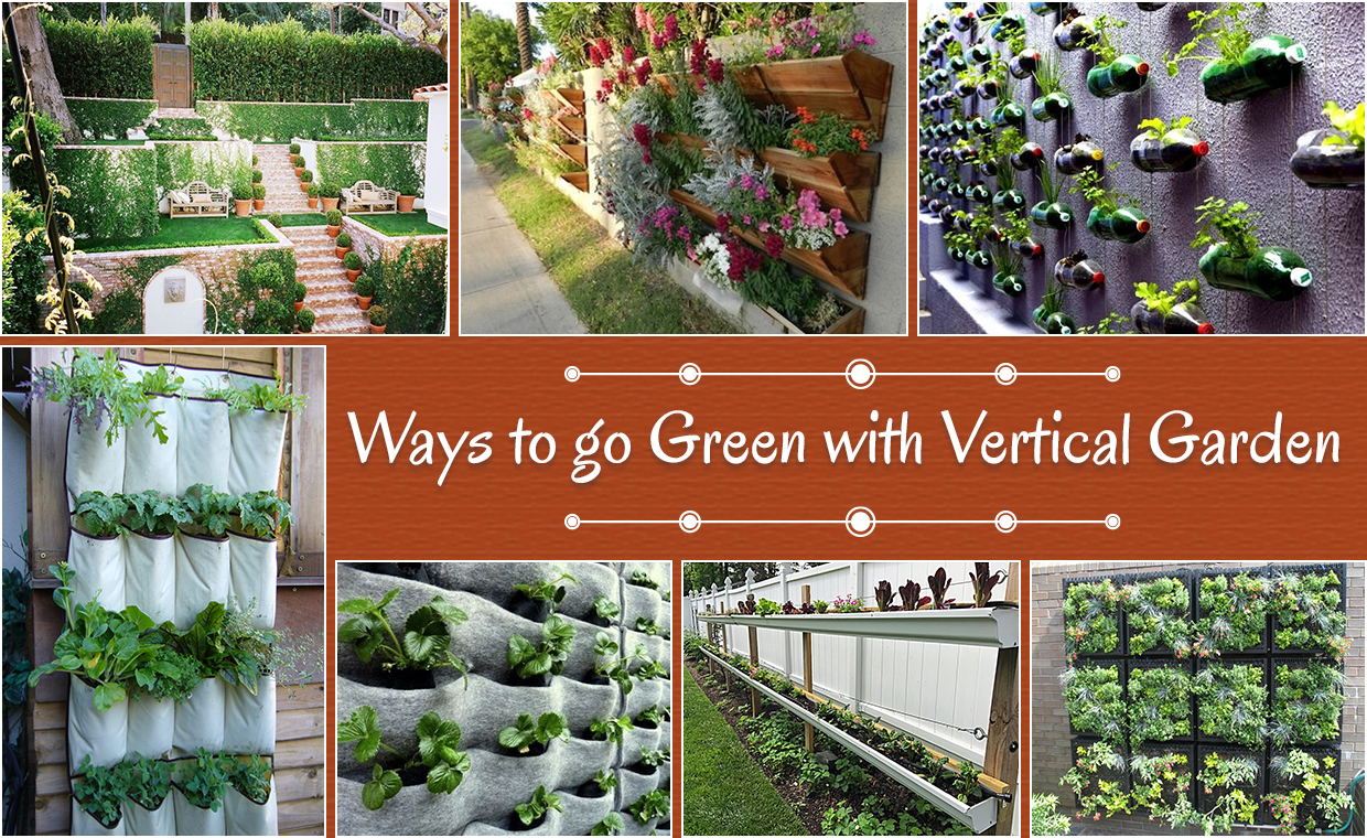 vertical garden structure inspection