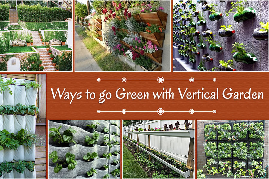 vertical garden structure inspection