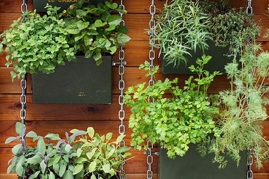wooden vertical garden structure