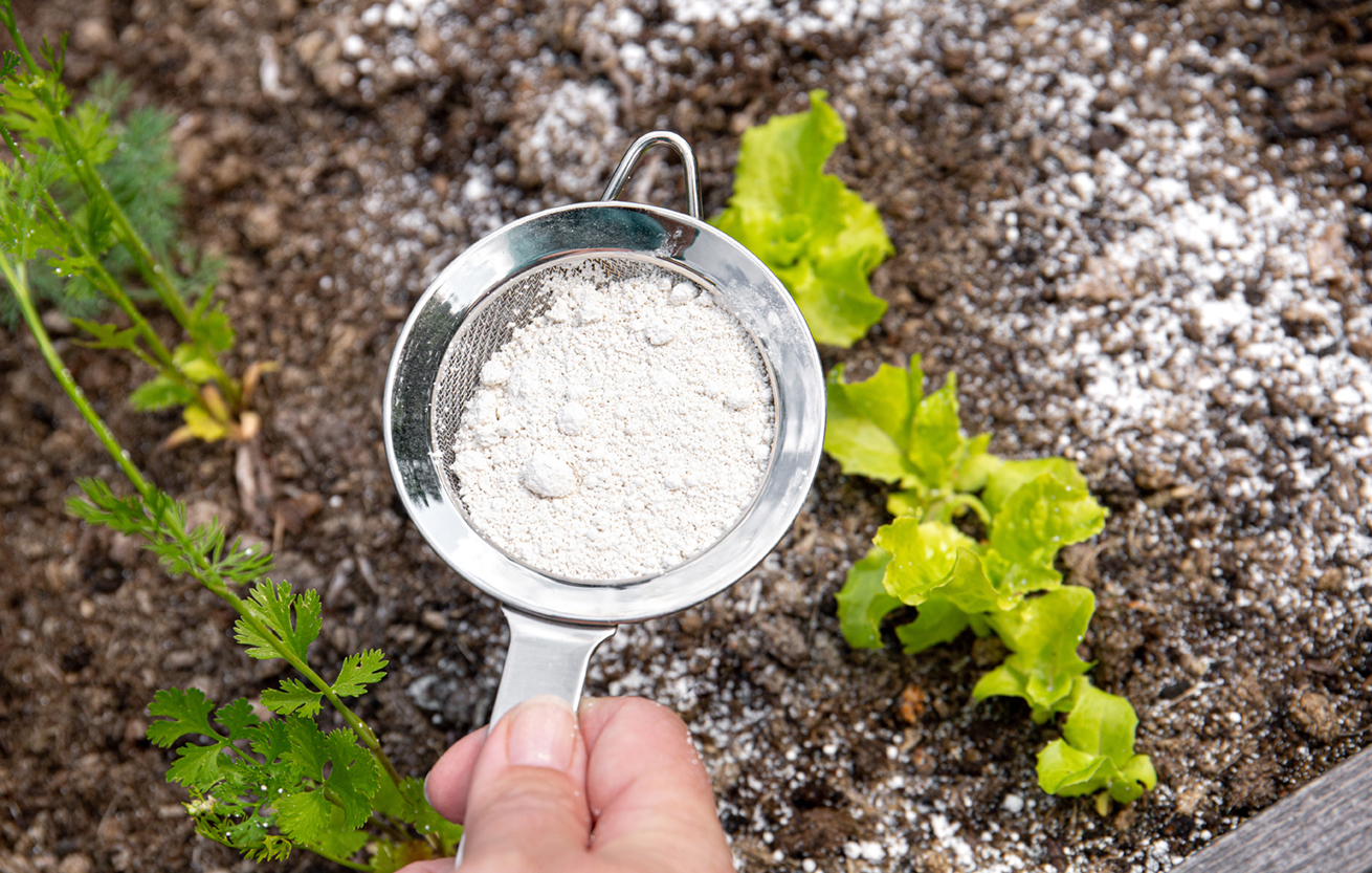 Pest Control Grade Diatomaceous Earth