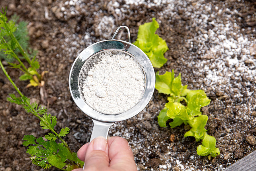 Pest Control Grade Diatomaceous Earth