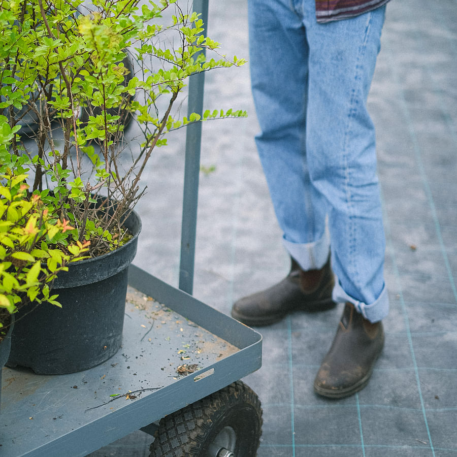 Lush and well-maintained indoor vertical garden