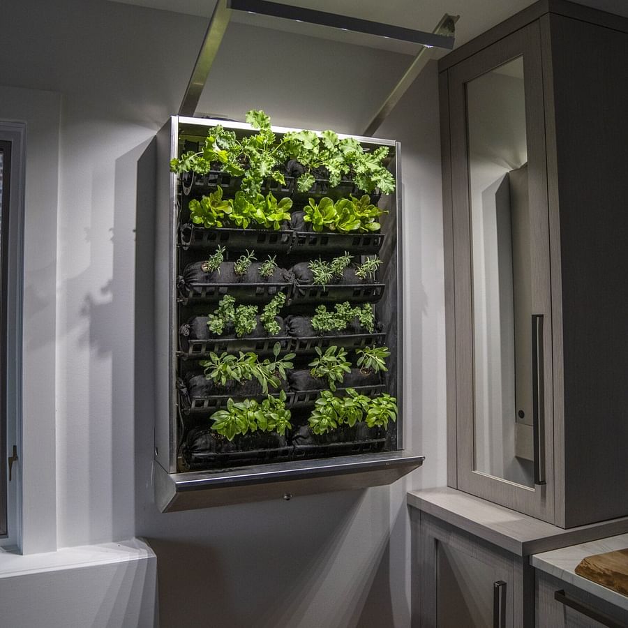 Indoor vertical garden illuminated by strategically placed lights