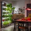 Indoor Vertical Garden Lighting Solutions: Choosing the Right Lights for Your Space and Plants
