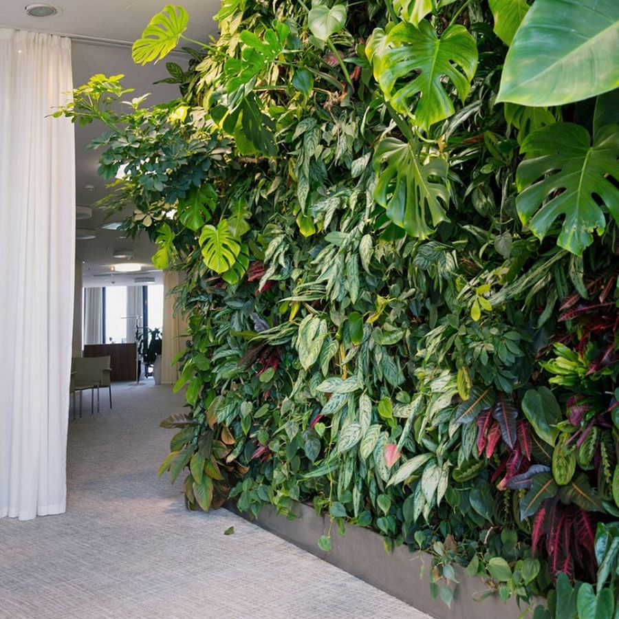 Indoor vertical garden in a small urban apartment