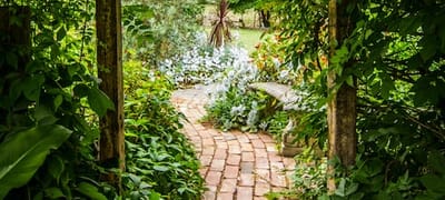 Indoor Vertical Garden Ideas