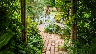 The Art of Indoor Vertical Garden Design: Combining Aesthetics and Functionality