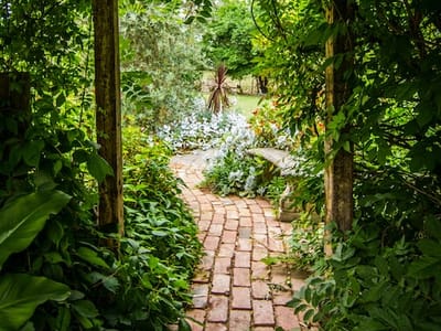 The Art of Indoor Vertical Garden Design: Combining Aesthetics and Functionality