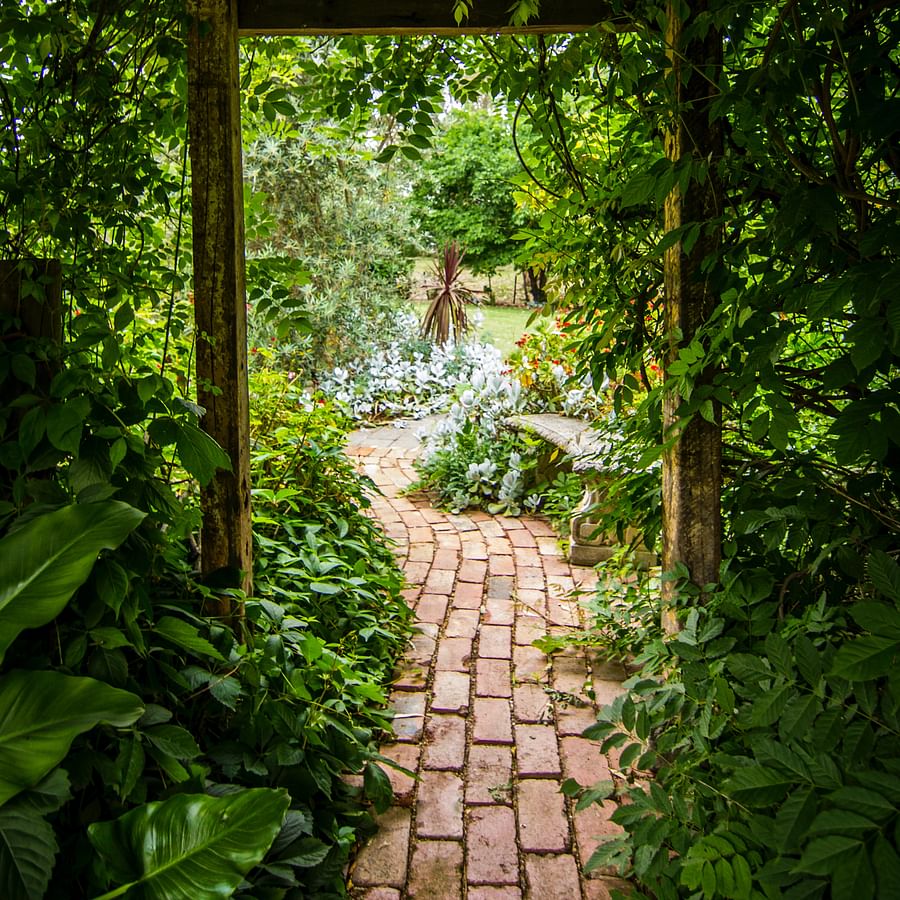 Brightly lit indoor vertical garden with various types of plants