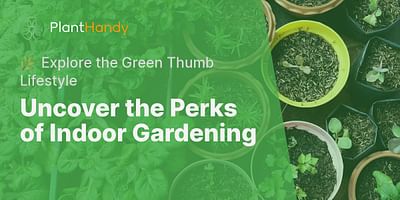 Uncover the Perks of Indoor Gardening - 🌿 Explore the Green Thumb Lifestyle