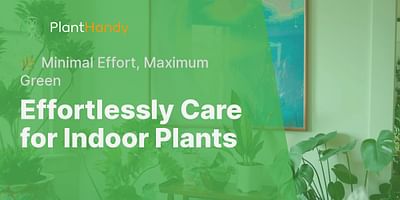 Effortlessly Care for Indoor Plants - 🌿 Minimal Effort, Maximum Green