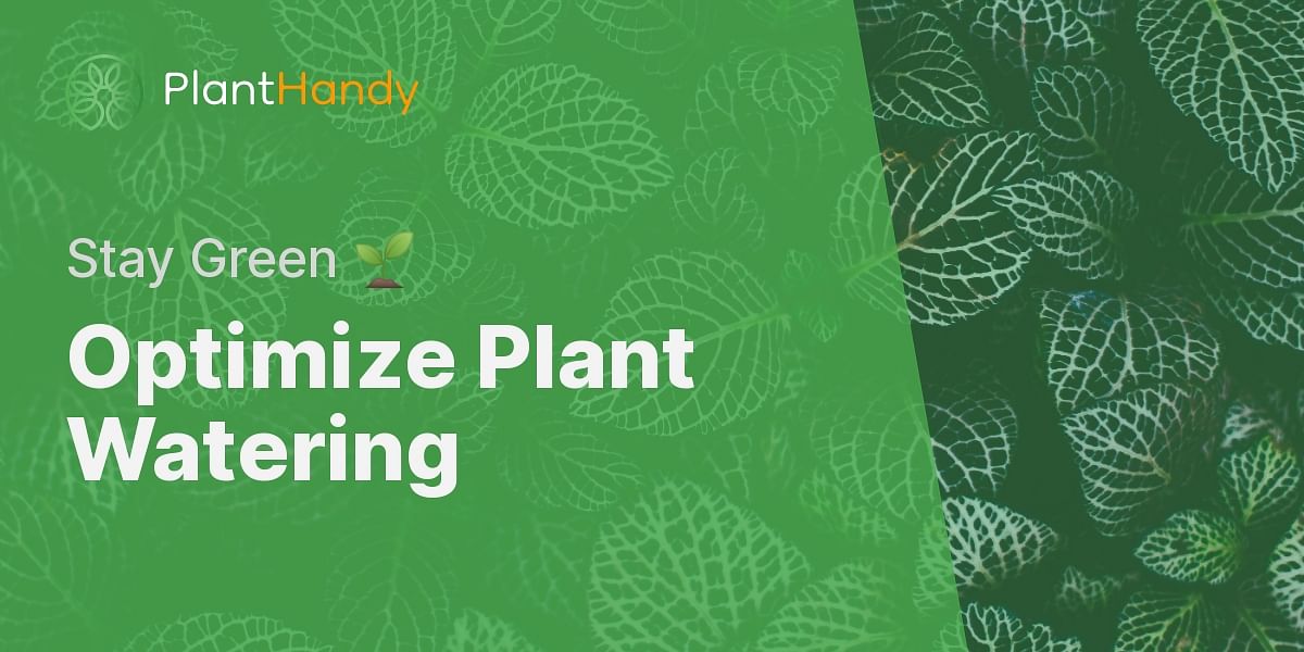 Indoor Plant Watering Needs Calculator Plant Handy